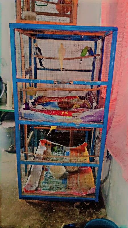 Birds Cage Urgent SALE 3