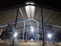 High roof dairy shed