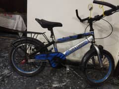 1:Cycle super shaino