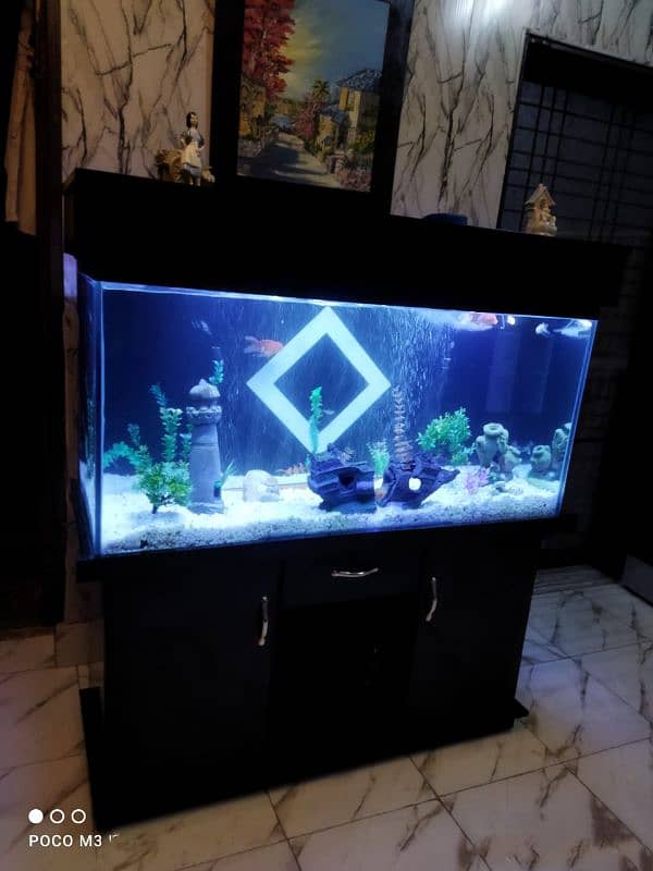 Aquarium Maintenance and Accessories 14