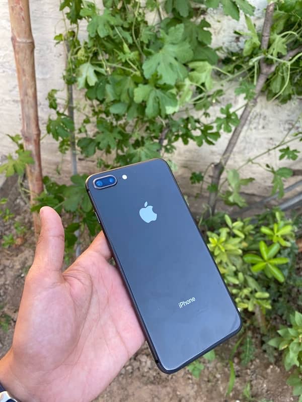 iPhone 8 Plus 3