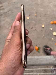 i phone xs golden colour