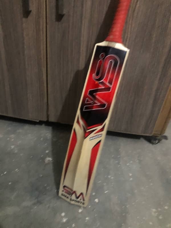 hard ball bat 3