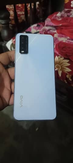 vivo