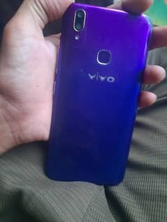 vivo