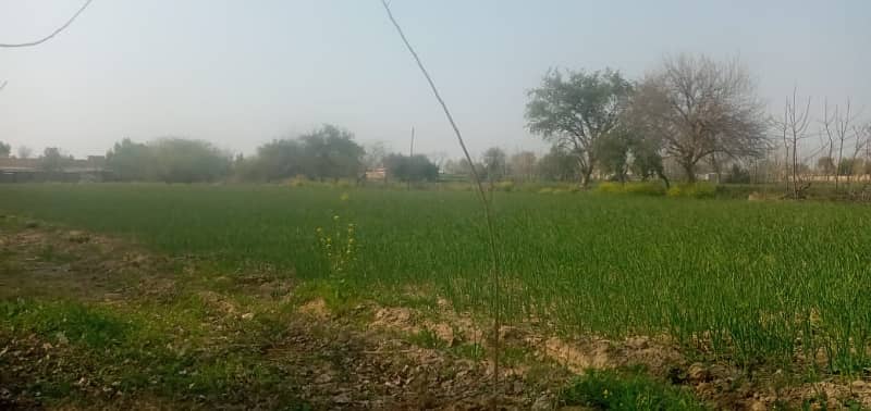 Mouza Naland Residential Plot Sized 8 Kanal For Sale 5