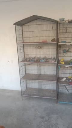 birds cages for sale