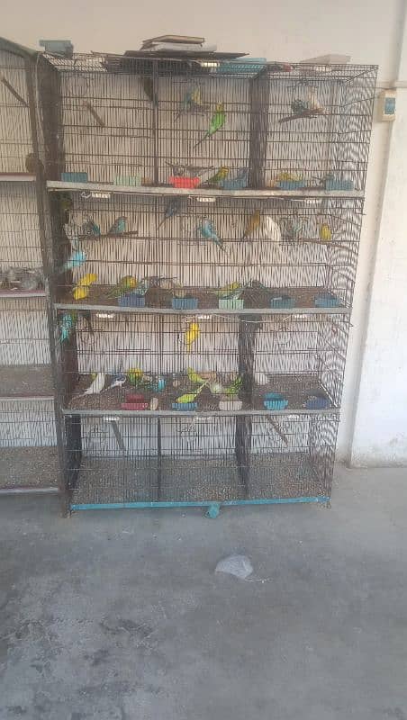 birds cages for sale 1