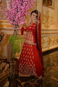 Red Designer Lehnga Self Stiched with Jewelry and Hand Bag