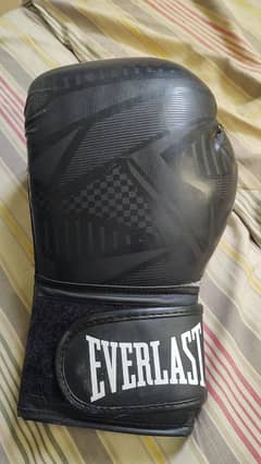 Everlast Spark Training Gloves (Original)