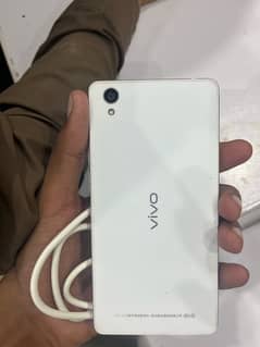 vivo