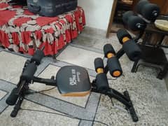 Used Goldstar six pack care abs machine