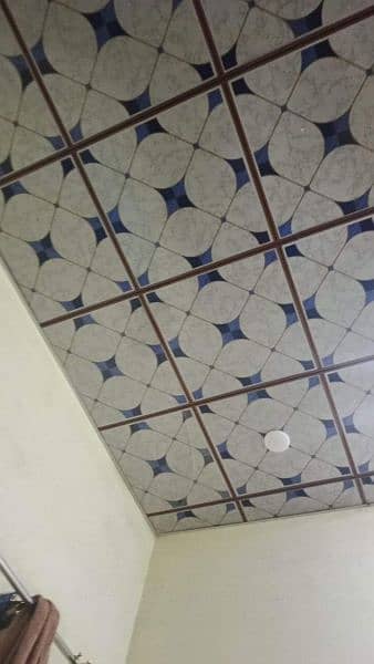 Pvc Ceiling 9