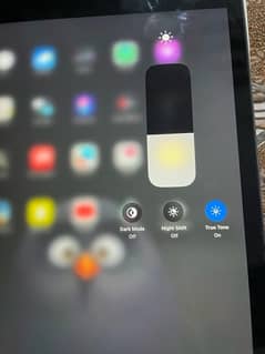 ipad 9 gen cellular + wifi