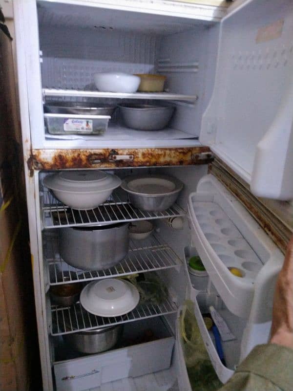 Pel Refrigerator 1