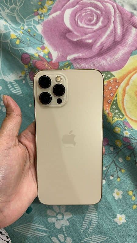 iphone 12 pro max 256gb non pta fU with box golden 0