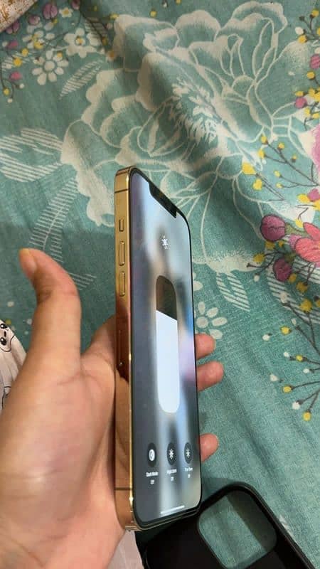 iphone 12 pro max 256gb non pta fU with box golden 1