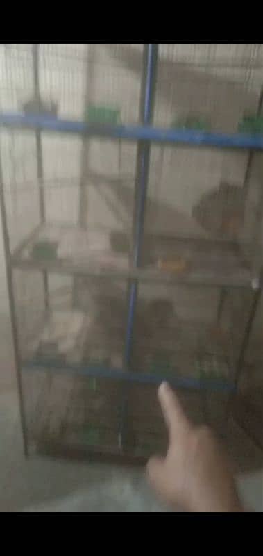 cage for sell 9