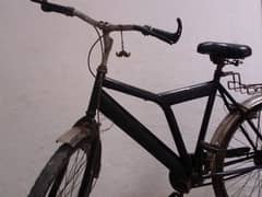 Black Full size cycle 03117135476