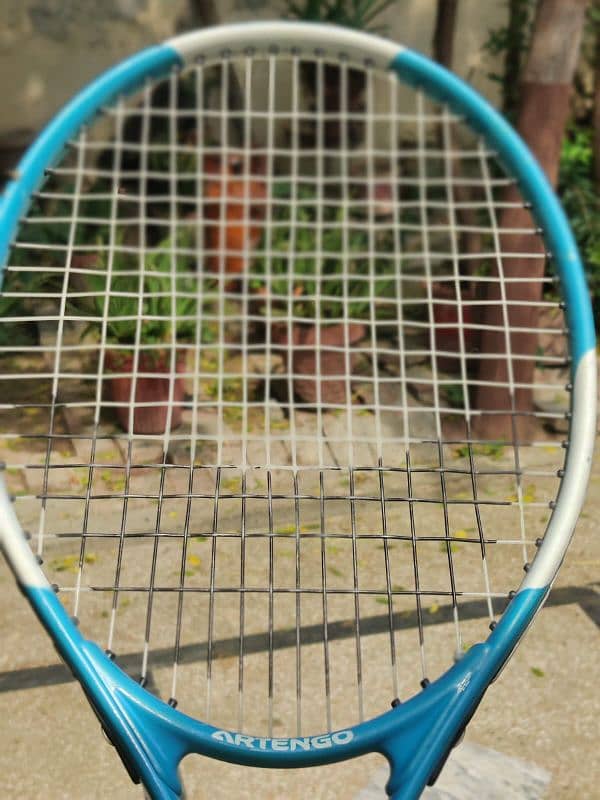 Artengo or Wilson brands rackets 1