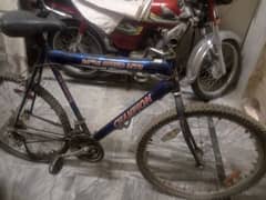 CHAMPION BIKE