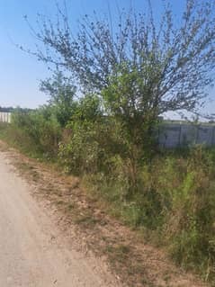 Luxury Farmhouse Land 20 Kanal 18 Marla for Sale Near Bedian Road, Lahore! 50 Lac per Kanal