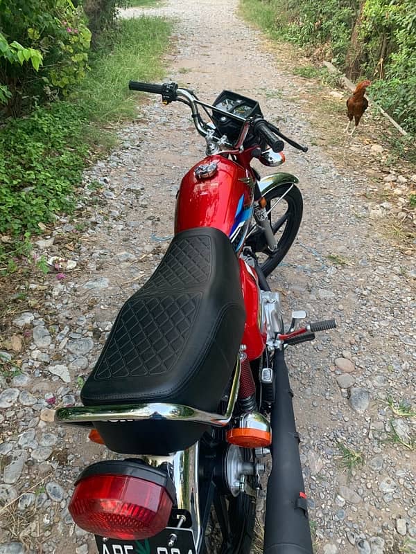 Honda 125 2024 1