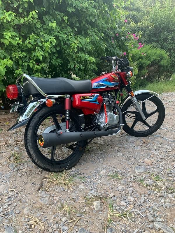 Honda 125 2024 3