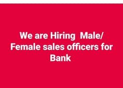 Sales officer in Bank