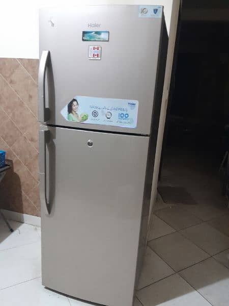 Haier Refrigerator 4