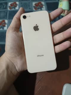 IPhone 8 pta approved