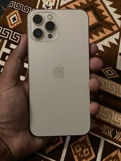 iphone 12 pro max 128 PTA approved