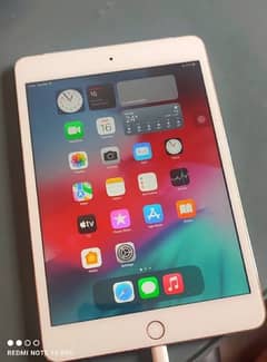 ipad mini 5 0