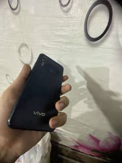 vivo