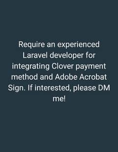 need laravel developer