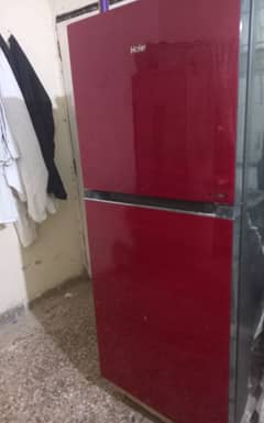 Hair Estar refrigerator for sale