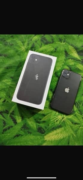 iPhone 11 64 gb jv with box 0