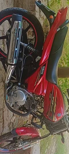 Yamaha 125 ybz Dx red