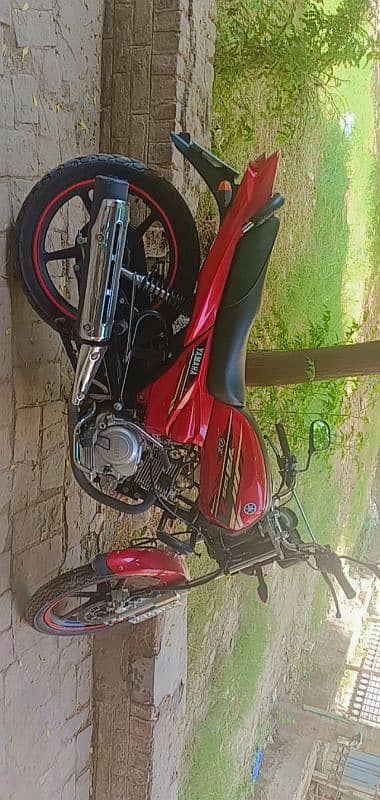 Yamaha 125 ybz Dx red 3