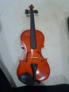 Violin[Imported