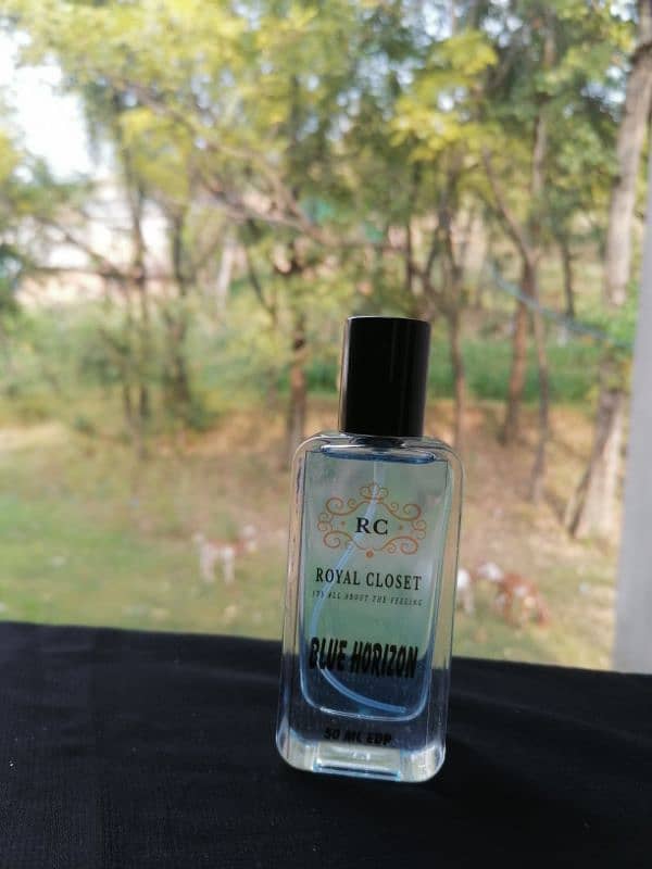 OUR TOP SELLING PERFUME BLUE HORIZON 1