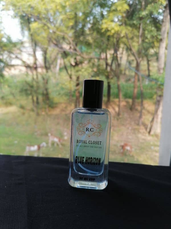 OUR TOP SELLING PERFUME BLUE HORIZON 2