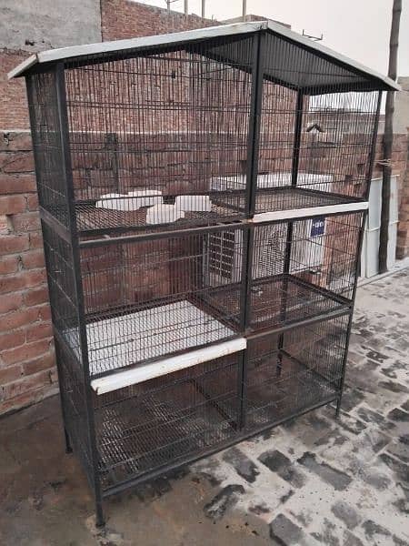 Birds Cage 1