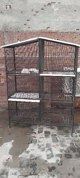 Birds Cage 4