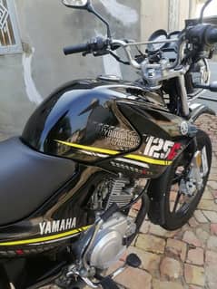 Yamaha