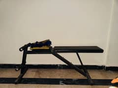 gym exercise straight bench