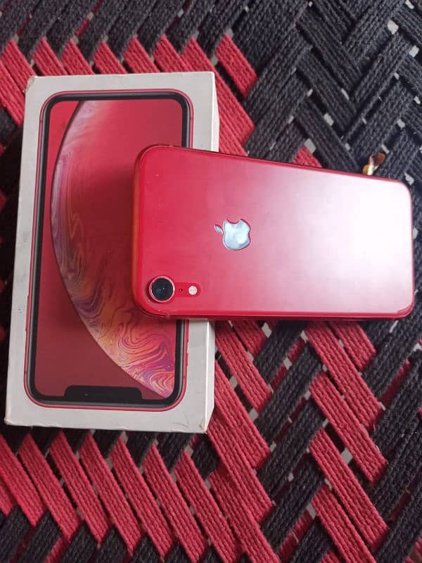 iphone xr official pta 1