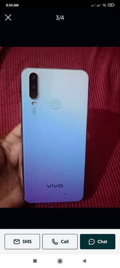 vivo