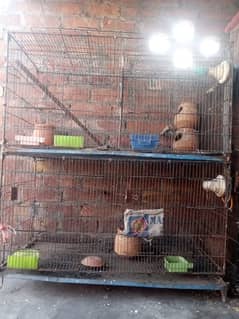 perrots cage for sale 0