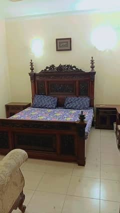 Safari Single Story House For Rent 0